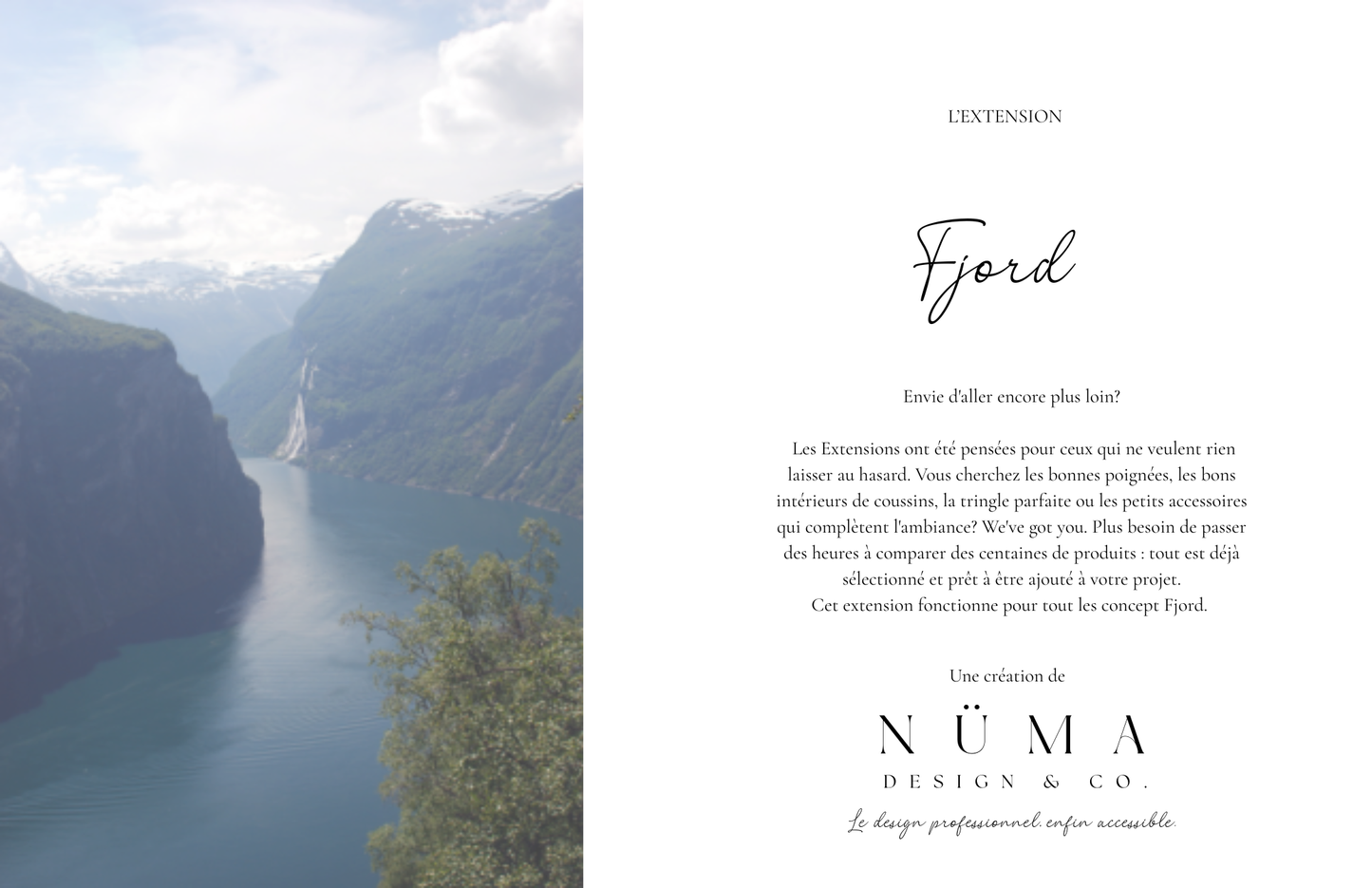 L’extension Fjord