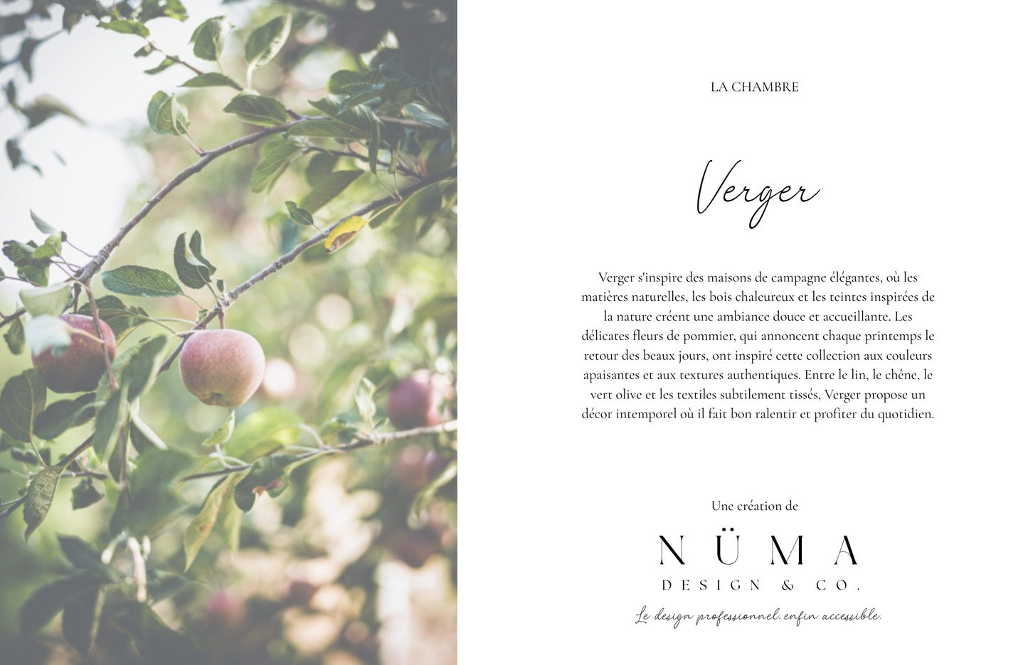 La Chambre Verger (adulte)